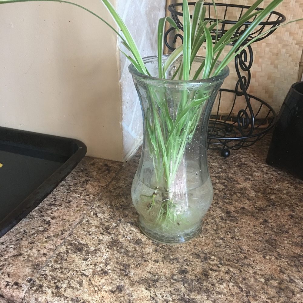 3 vases - Picture 2 of 3
